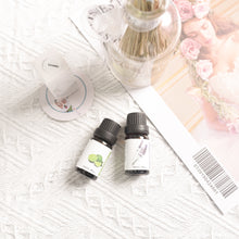 將圖片載入圖庫檢視器 口罩香薰扣+法國香薰