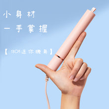 Load image into Gallery viewer, Hair straightener (USB type)